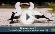 "Нанобанк" - сервис взаимного peer to peer кредитования