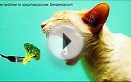 ОБИЖЕННЫЕ коллекторы!