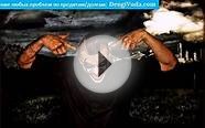Троллинг коллекторов