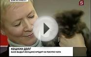 Взяла банковский кредит на покупку кота (25.12.2012)